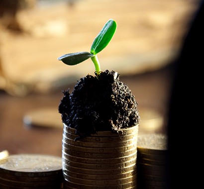 皇冠国际体育app(中国)官方网站-CROWN Sports