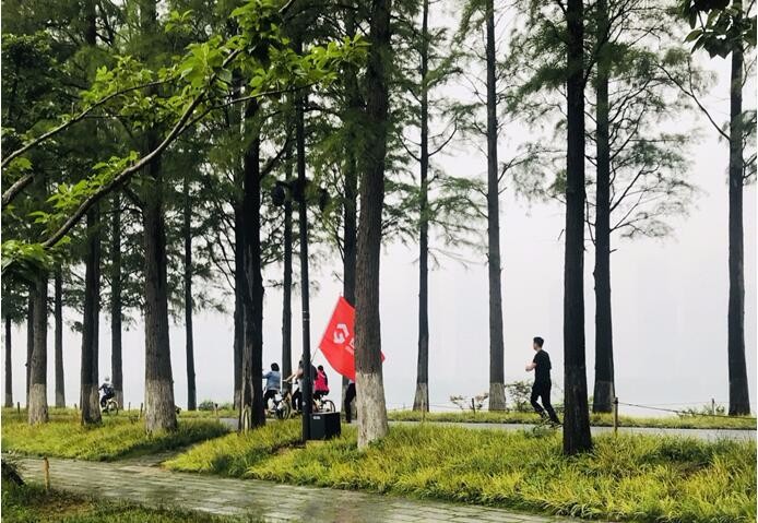 皇冠国际体育app(中国)官方网站-CROWN Sports