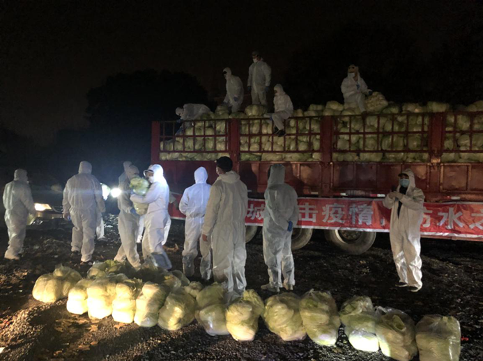 皇冠国际体育app(中国)官方网站-CROWN Sports