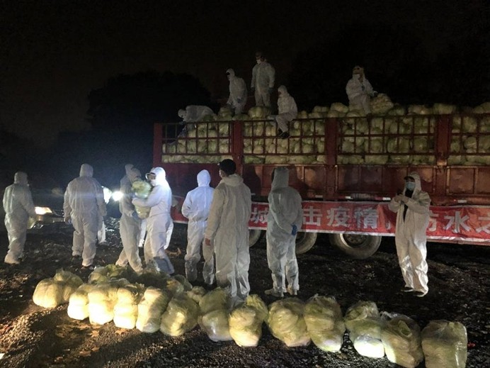 皇冠国际体育app(中国)官方网站-CROWN Sports