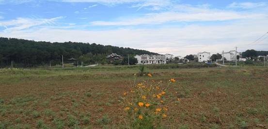 皇冠国际体育app(中国)官方网站-CROWN Sports