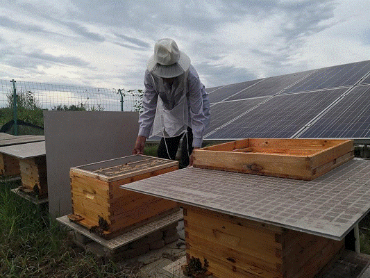 皇冠国际体育app(中国)官方网站-CROWN Sports