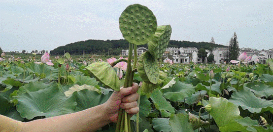 皇冠国际体育app(中国)官方网站-CROWN Sports