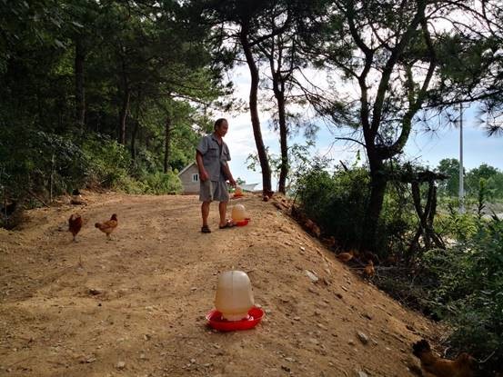 皇冠国际体育app(中国)官方网站-CROWN Sports