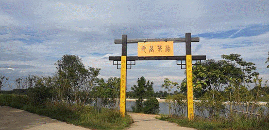 皇冠国际体育app(中国)官方网站-CROWN Sports