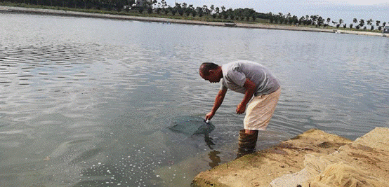 皇冠国际体育app(中国)官方网站-CROWN Sports