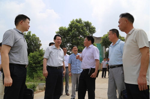 皇冠国际体育app(中国)官方网站-CROWN Sports