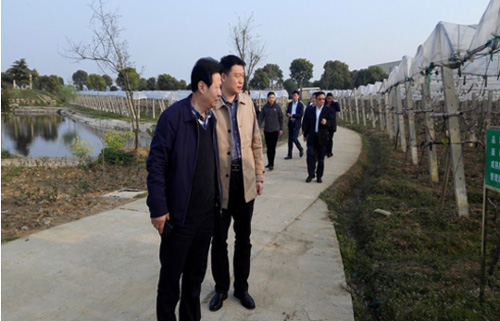 皇冠国际体育app(中国)官方网站-CROWN Sports